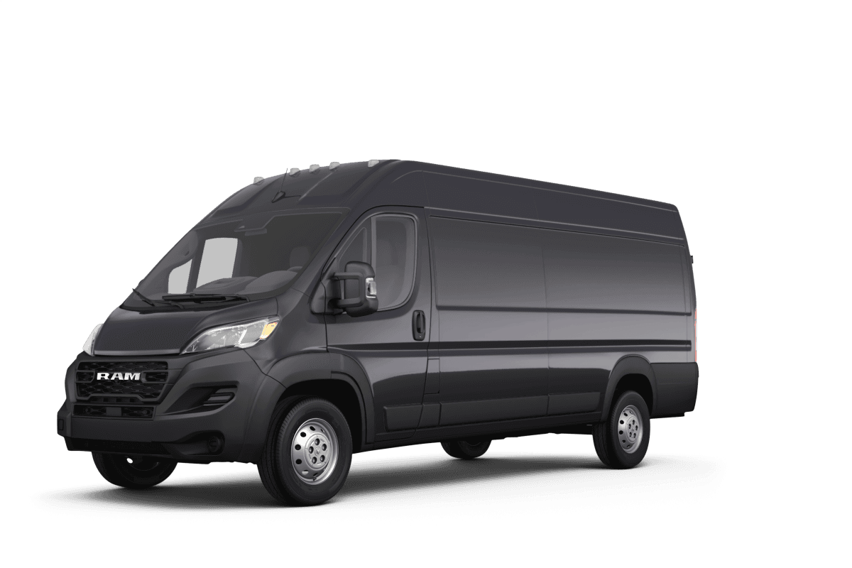 Ram false  - Front view Ram false  - Front view